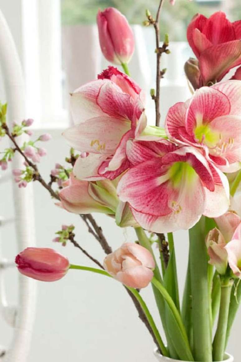 53. Vaso com flores amarilis e tulipas cor de rosa &ndash; Foto Gardenia