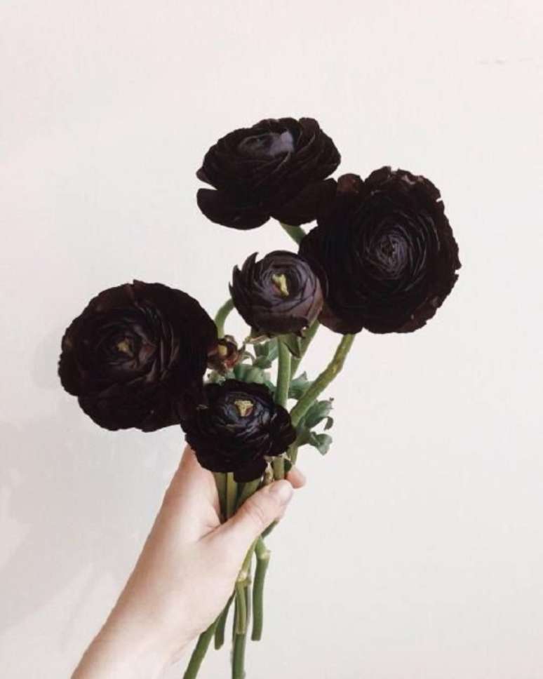 21. Flor preta para decora&ccedil;&atilde;o de casa &ndash; Foto Jessica Heather Payne