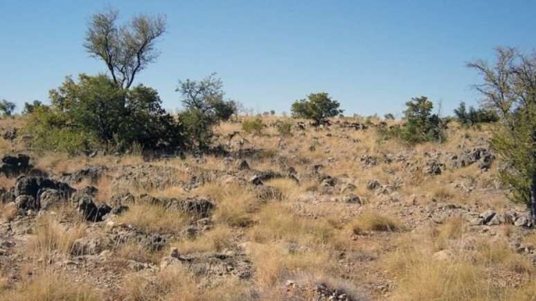 Os restos mortais de primos extintos dos cangurus foram encontrados em Riversleigh, no Estado de Queensland