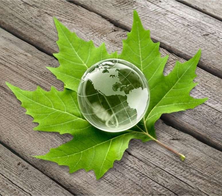 M&oacute;veis sustent&aacute;veis evitam o gasto excessivo de recursos naturais do planeta - Shutterstock