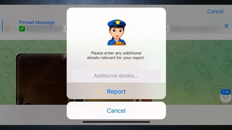 Captura de tela do aplicativo do Telegram em &aacute;rea para denunciar conte&uacute;do que viola termos de servi&ccedil;o