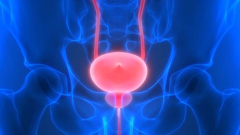 O c&acirc;ncer de pr&oacute;stata &eacute; um dos mais comuns entre os homens