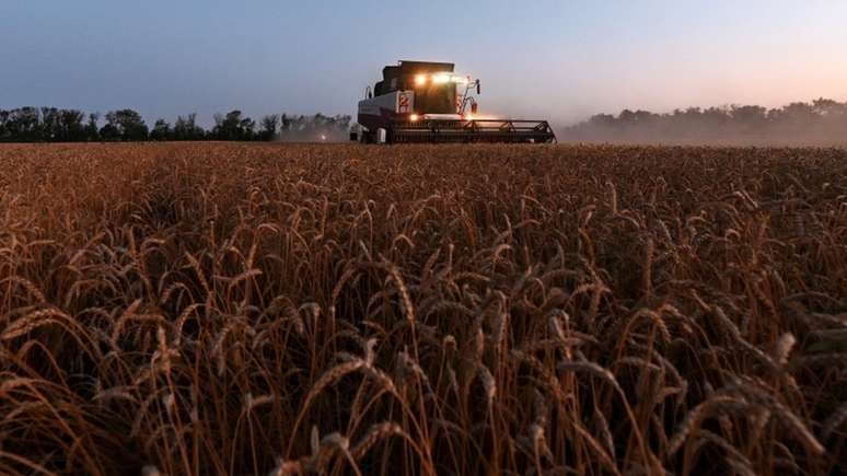 Planta&ccedil;&atilde;o de trigo em Rostov, na R&uacute;ssia; conflito possivelmente vai influenciar nos pre&ccedil;os do produto