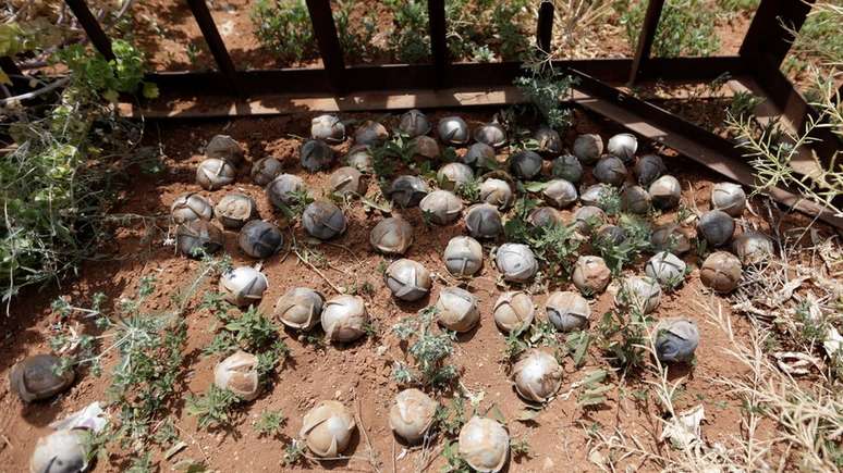 Muitas submunições não explodem imediatamente e criam um 'campo minado'