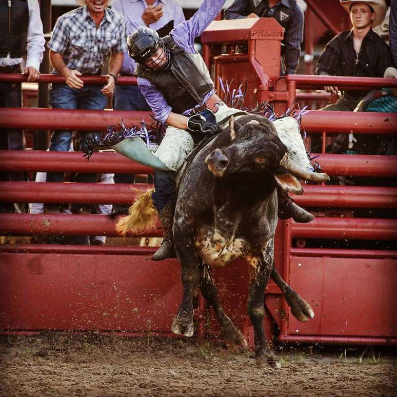 'Muito obrigada ao meu pai, Landis Hooks e aos toureiros ontem à noite em Belton, Texas', Cody Hooks agradeceu por ter sido protegido de touro.