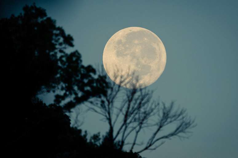 Saiba o que esperar da Lua Cheia em Virgem de 19/2