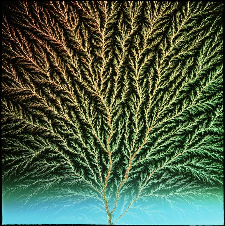 As figuras de Lichtenberg s&atilde;o um exemplo de fractais naturais