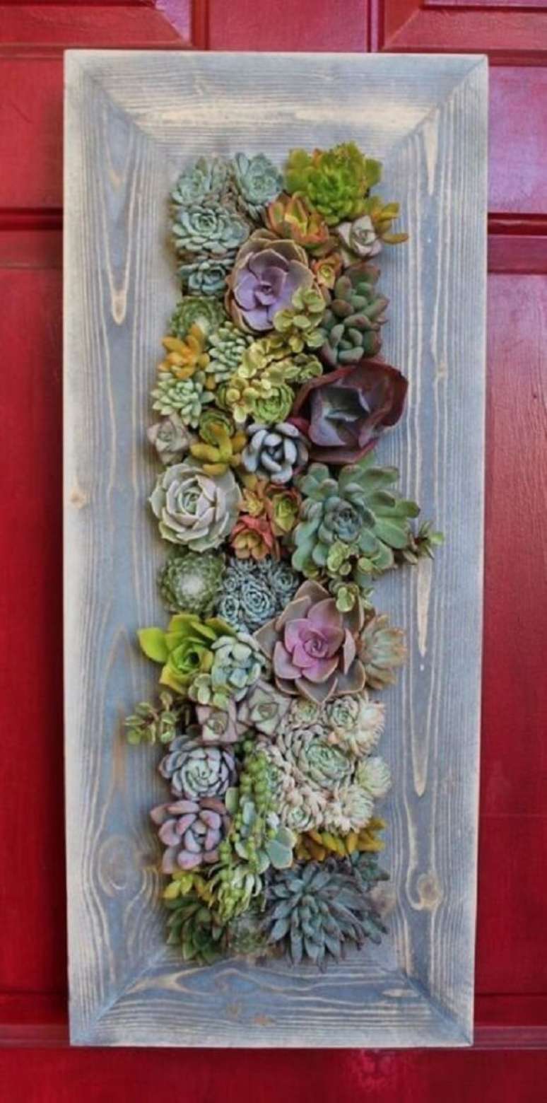 5. O jardim de suculentas vertical pode contar com diferentes esp&eacute;cies de plantas. Fonte: Karen Succulent Journal