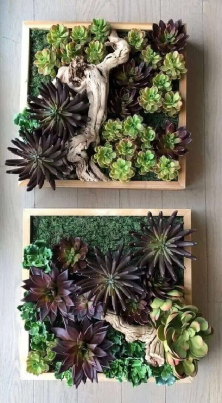 4. O jardim suspenso de suculentas forma a composi&ccedil;&atilde;o de dois quadros no ambientes. Fonte: Etsy