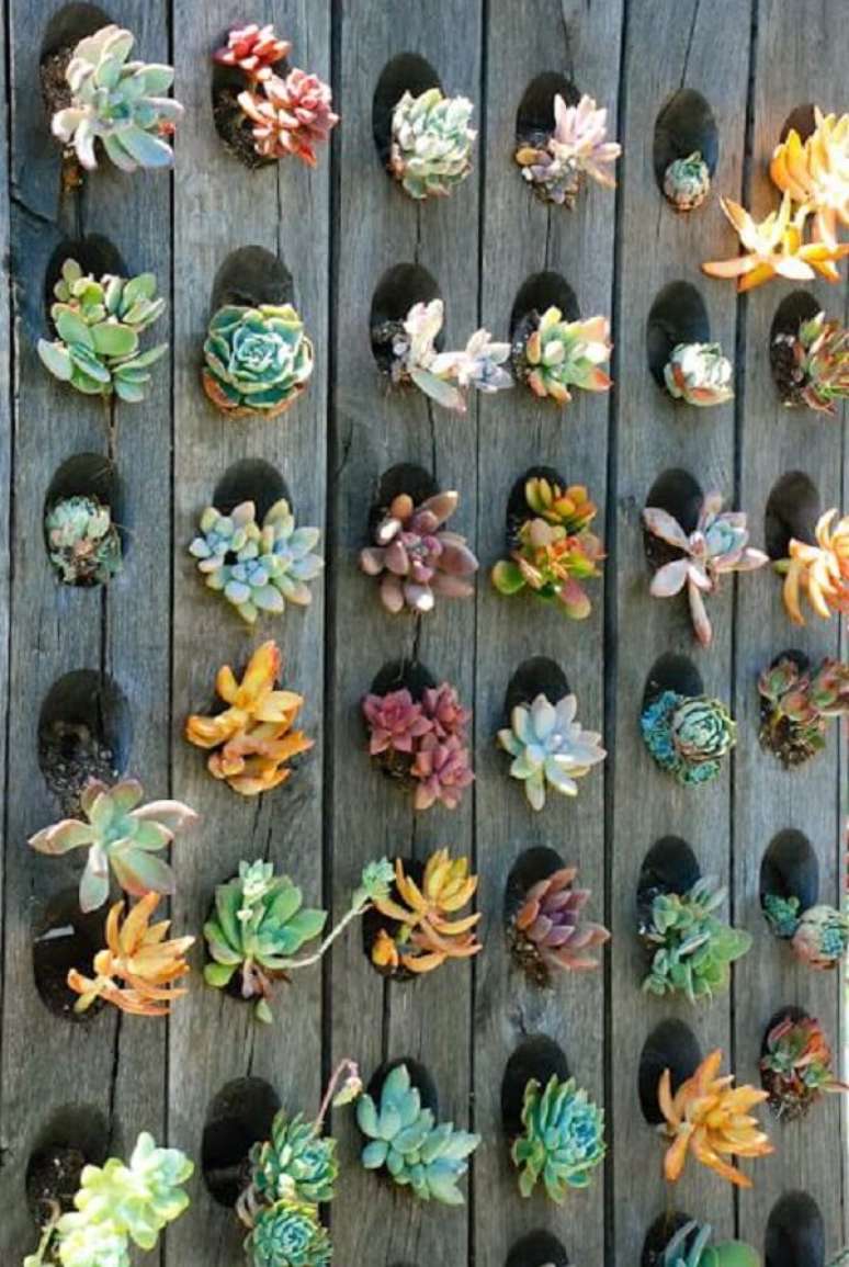 9. O jardim vertical de suculentas pode ser feito de diferentes maneiras. Fonte: This American Home