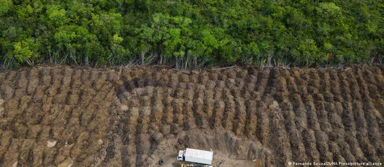 Brasil enfrenta uma explosão do desmatamento da Amazônia desde o início do governo Bolsonaro