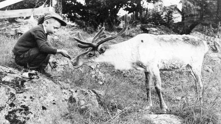Tradicionalmente, as crian&ccedil;as sami s&atilde;o encorajadas a serem independentes e autossuficientes
