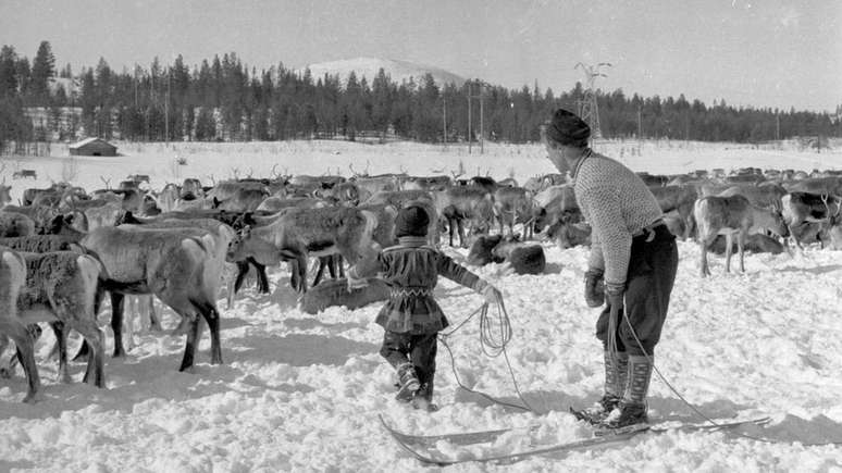 As crian&ccedil;as sami ajudam os pais desde pequenas a marcar as renas, como nesta foto de 1955