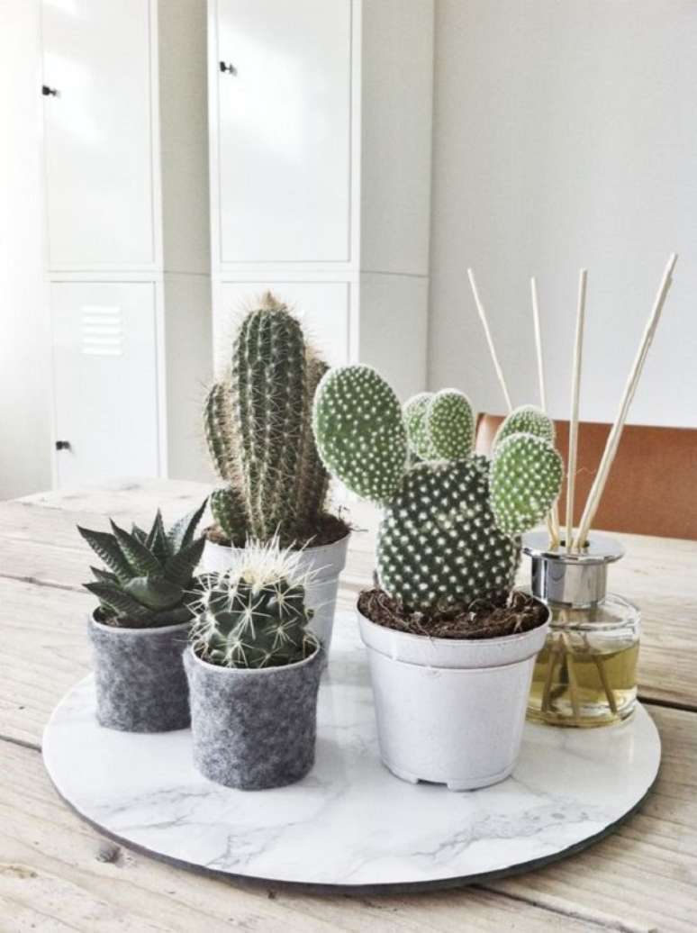 14. Centro de mesa para sala de jantar com mini cactos – Foto Cultclash