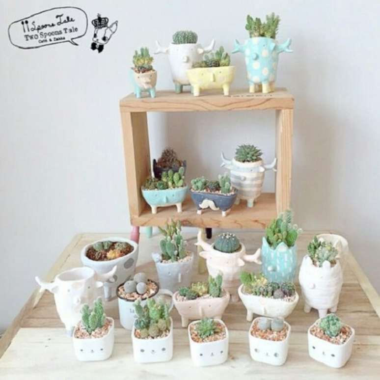 31. Jardim de mini cactos para decoracao de casa &ndash; Foto Ebay