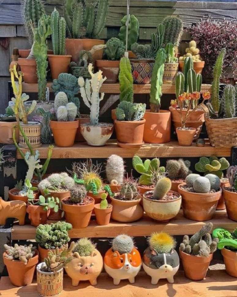 33. Jardim vertical com vasos criativos de mini cactos – Foto Kaktusy