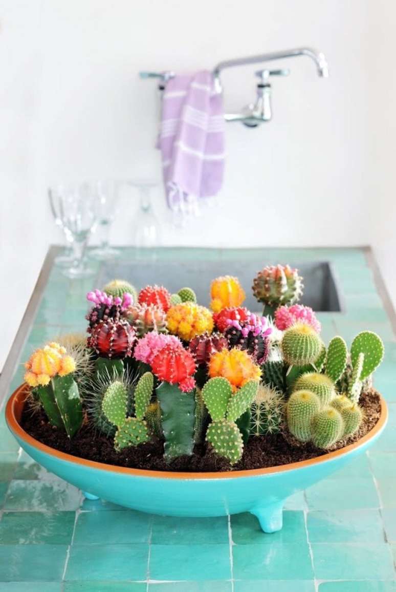 45. Mini jardim de cactos decorando a cozinha – Foto Decor Facil