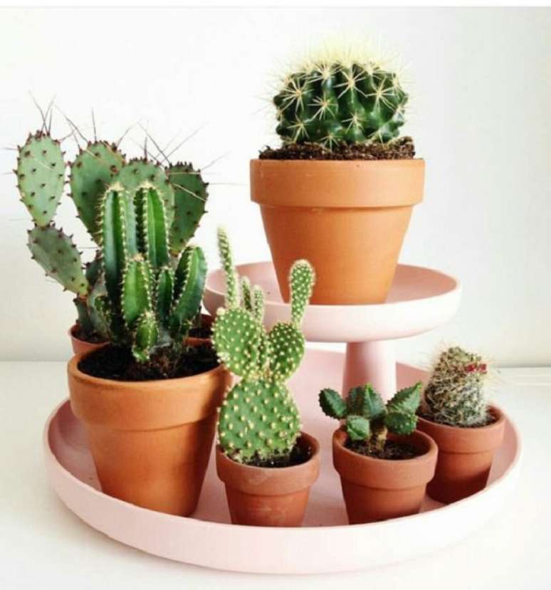 39. Mini cacto com vaso de cer&acirc;mica &ndash; Foto Quangcanhxanh