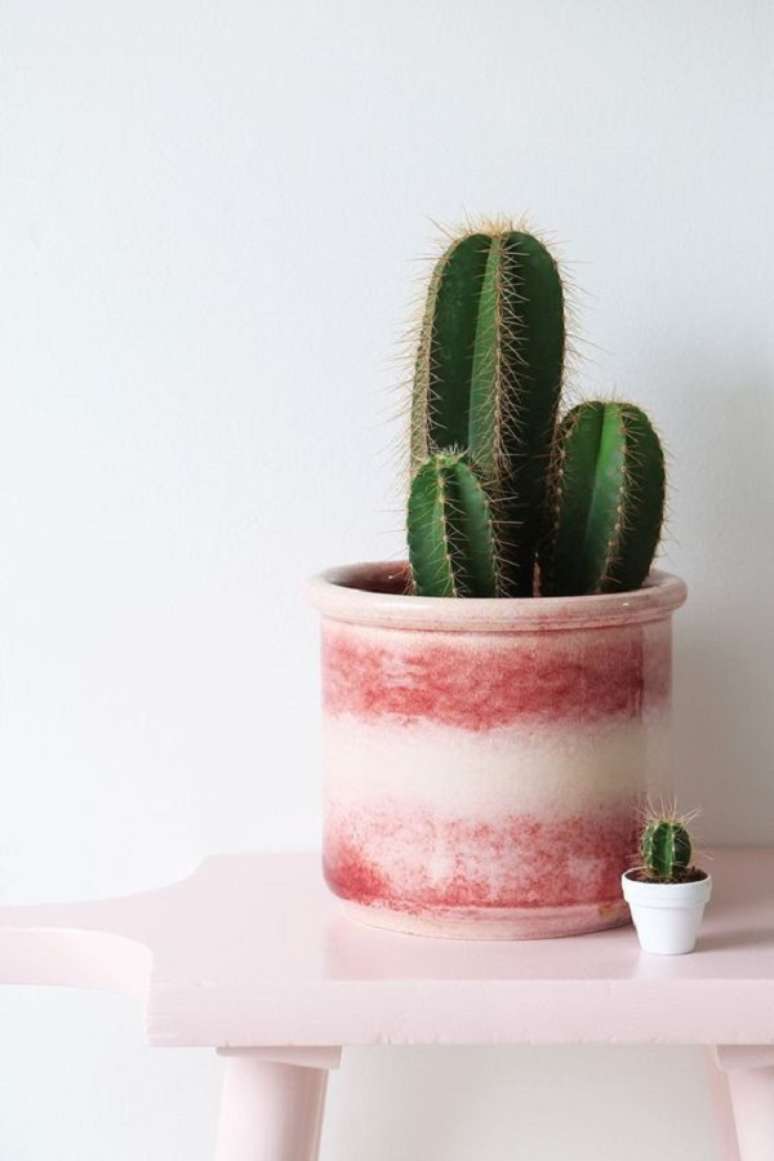 11. Casa moderna decorada com mini cactos &ndash; Foto December 12