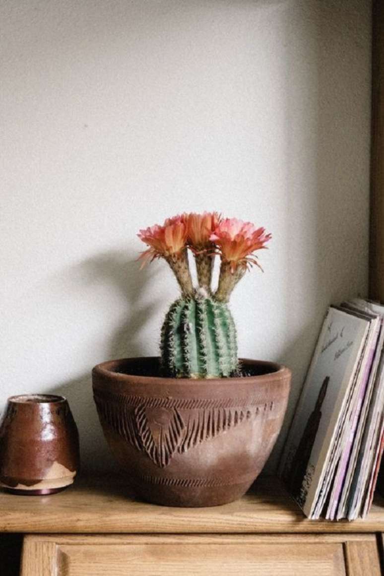 10. Casa decorada com mini cacto &ndash; Foto Vogue