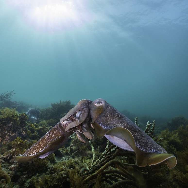 O momento t&atilde;o esperado