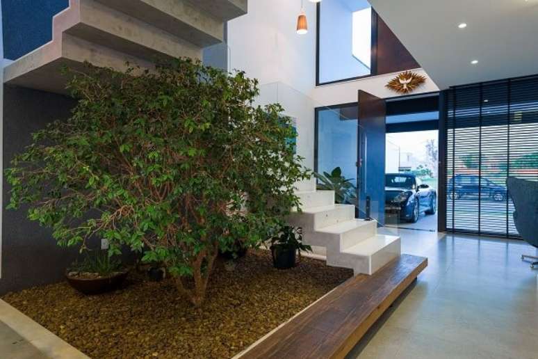18. Escadas para casa com jardim de inverno embaixo – Foto Galpao Design Arquitetura
