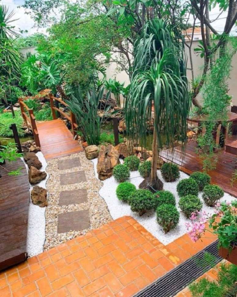 1. Planta pata de elefante no jardim de casa rústica – Foto Tua Casa