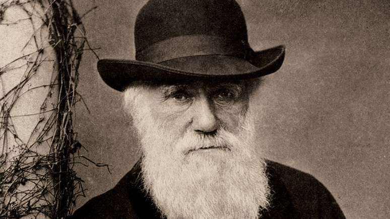 A obra de Charles Darwin sobre a teoria da evolu&ccedil;&atilde;o pela sele&ccedil;&atilde;o natural mudou a maneira como pensamos sobre o mundo natural