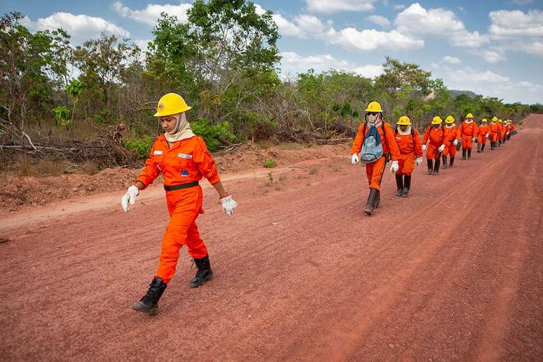 Brigada de incêndio na Terra Indígena Krikati, no Maranhão