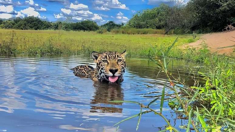 Matí tem apenas 3 anos e vive no Instituto NEX, em Goiás
