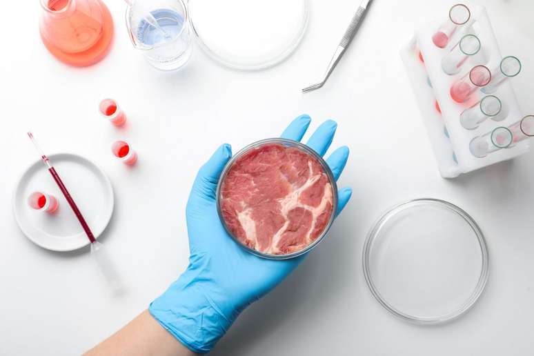 Carne de laboratório pode ser pior para o clima do que carne bovina