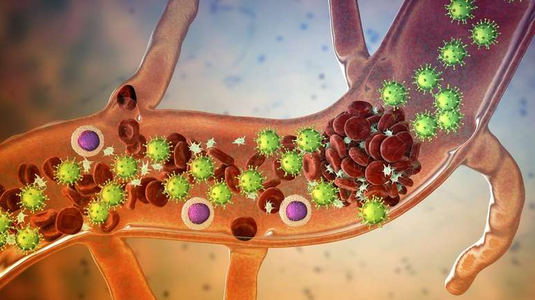 Coronavirus en la sangre