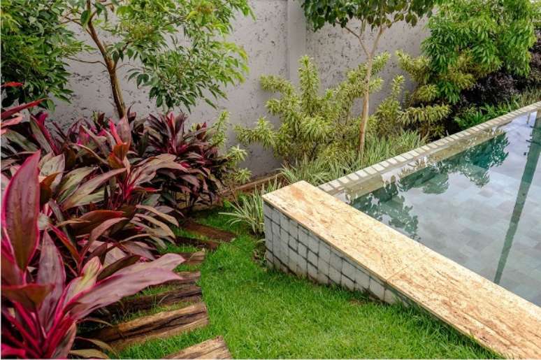 65. Piscina com folhagem para jardim ao redor – Foto Andrea Esteves