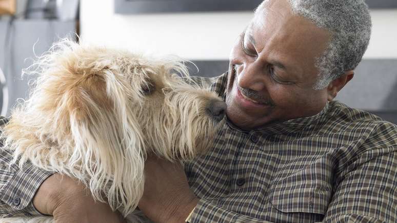 O estudo mostra que o DNA canino sofre mutações cinco vezes mais rápido que o código genético de humanos