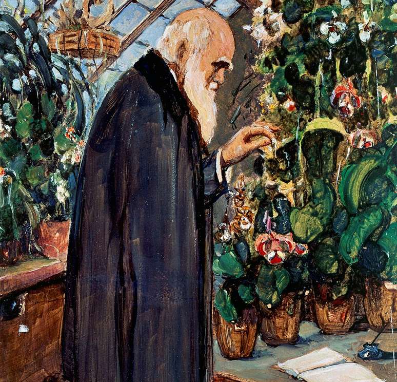 Retrato de Charles Darwin (1809) pintado por John Collier (1850-1934); 'erro' quanto a apêndice foi usado por críticos para desacreditar teoria da evolução, mas cientistas dizem que o apêndice, na verdade, serve para provar a teoria darwiniana