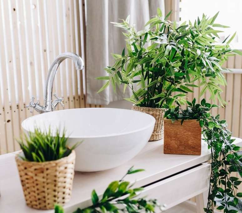 As plantas podem ser uma &oacute;tima op&ccedil;&atilde;o de decora&ccedil;&atilde;o para banheiros pequenos - Shutterstock