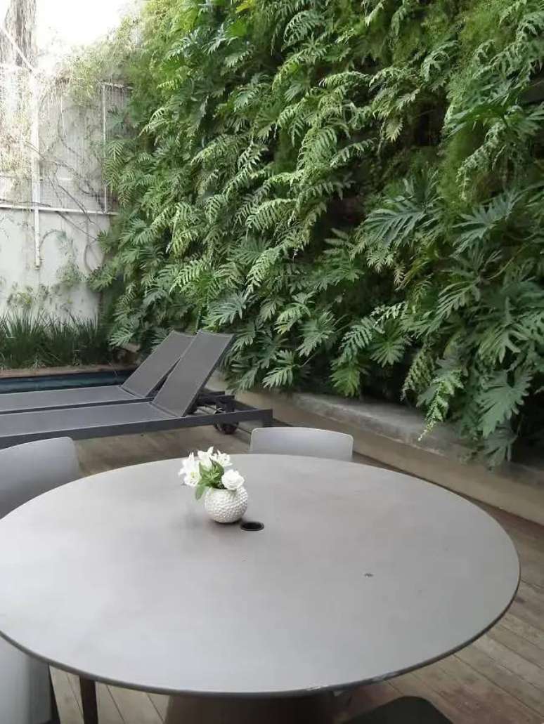 16. &Aacute;rea de lazer decorada com jardim vertical externo. Fonte: Alalou Paisagismo