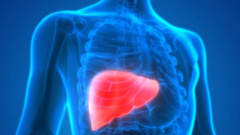 A hepatite é a inflamação do fígado e é a segunda maior doença infecciosa letal do mundo
