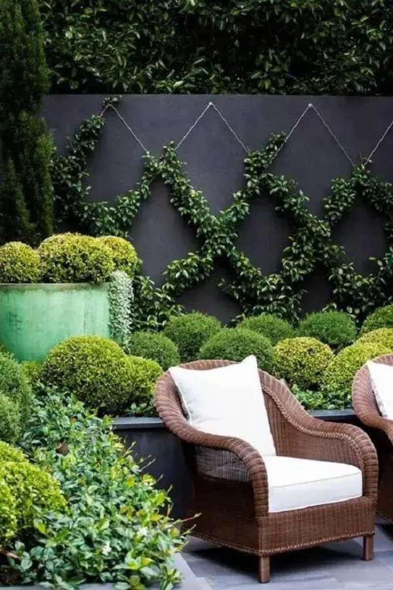 20. As plantas trepadeiras formam desenhos e realçam a beleza do jardim vertical externo. Fonte: Mahavir Design and Decor