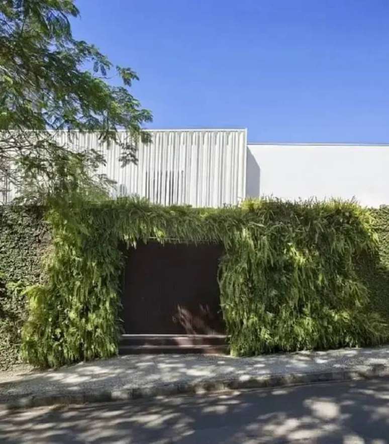 50. Port&atilde;o de madeira e jardim vertical externo sol pleno. Fonte: Gisele Taranto