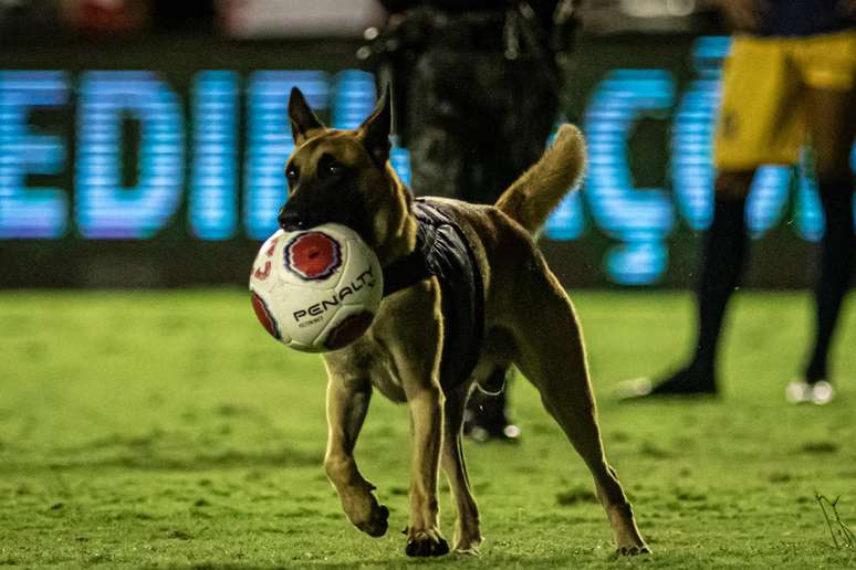 Cão policial invade o campo "rouba" a bola durante a partida entre Náutico e Retrô