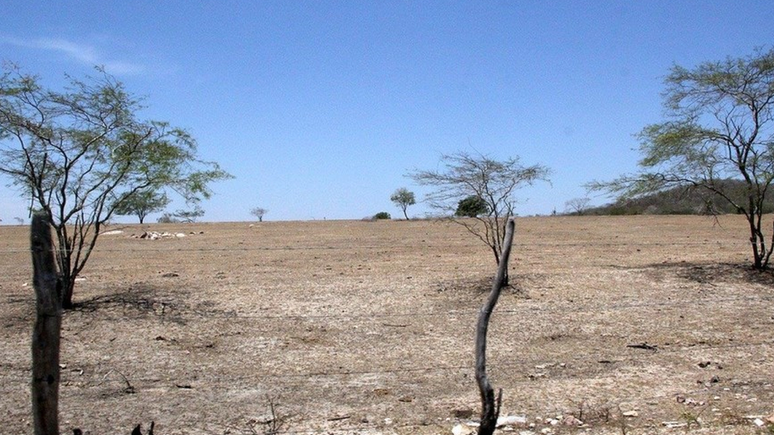 &Aacute;rea desertificada no interior de Alagoas, onde h&aacute; campanha para reduzir uso de queimadas