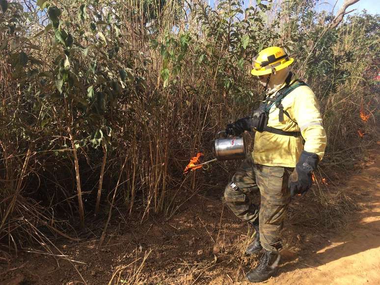 Queima controlada na Esta&ccedil;&atilde;o Ecol&oacute;gica &Aacute;guas Emendadas, no Distrito Federal