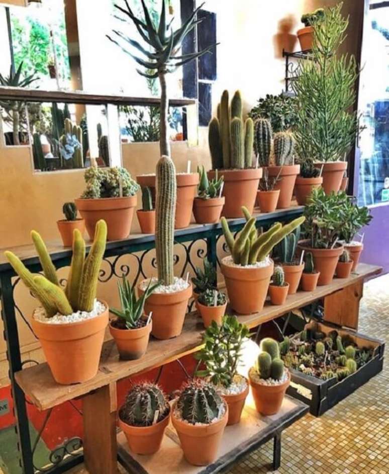 5. Jardim vertical com vasos de mini cactos – Foto Bem te vi Cantinho Verde