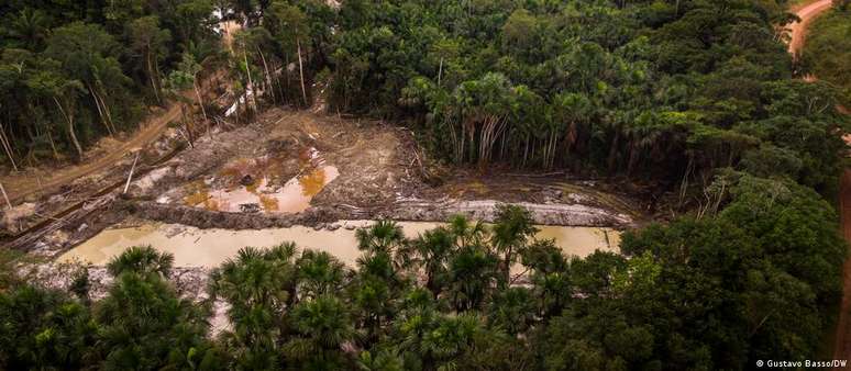 Oposicionistas consideram políticas ambientais do governo críticas, principalmente para a região amazônica.