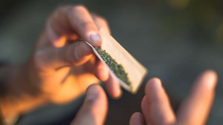 Em 2018, cerca de 192 milhões de pessoas, entre 15 e 64 anos, usaram cannabis para fins recreativos