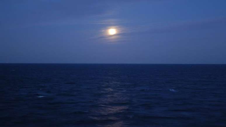 Força gravitacional da Lua afeta marés porque oceanos formam um enorme corpo de água; não é caso do corpo humano
