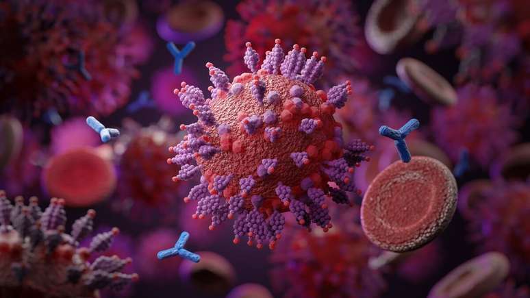 Conhe&ccedil;a a variante &Ocirc;micron XQ