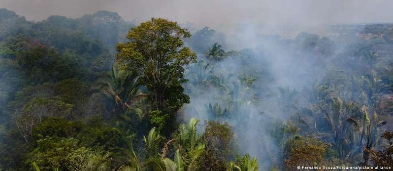 Por causa das chuvas, normalmente há menos destruição florestal nos quatro primeiros meses do ano na Amazônia