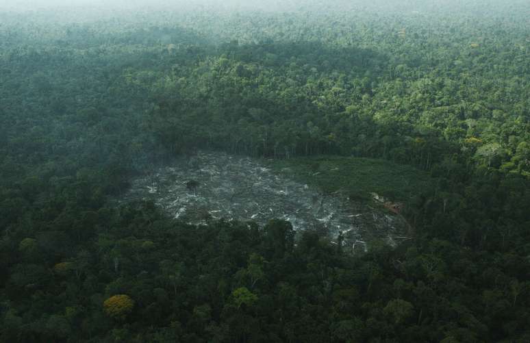 Abertura na floresta amazônica por madeireiros e agricultores, na Terra Indígena Cachoeira Seca, no Estado do Pará  